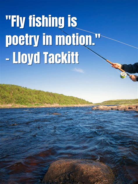 fly fishing sayings